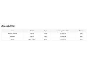 Showroom + Entrepôt (Divisible)