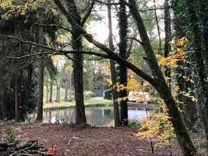 Terrain à bâtir 4000 m2 avec permis  arbres et rivière