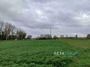 PECQ  Rue de Bailleul – TERRAIN SITUE EN ZONE D’HABITAT