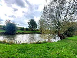 Pâture avec étang en zone agricole