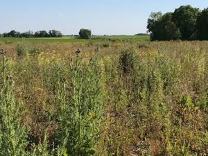 Vente terrain 448 m² à Ballon (17290)  65 250 €