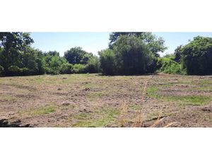 Vente terrain 1000 m² à Lugos (33830)  75 000 €