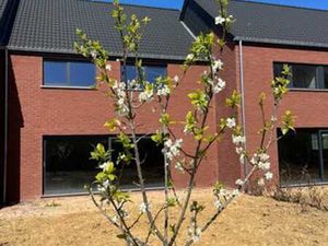 Maison neuve à Romsée