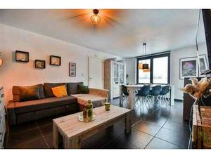 OPTION! OPTION! OPTION!