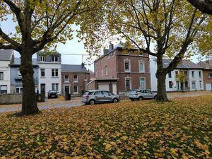 Superbe maison prête à emménager - basse énergie