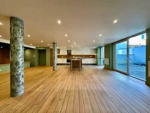 Grand Loft avec garage  terrasse et caves