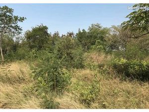 PARCELLE DE TERRE de 2870 m2