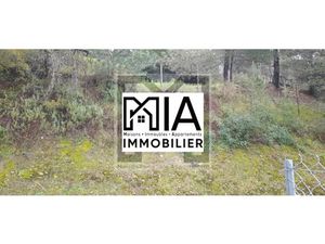 Vente terrain 4000 m² à Mougins (06250)  590 000 €