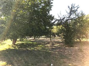 Vente terrain 939 m² à Willer-sur-Thur (68760)  83 000 €