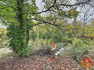 Ivoz-Ramet- Terrain de 490 m² en exclusivité chez Nigel IMMO