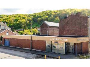 Vaste rez commercial (+/- 256 m²) avec garage.