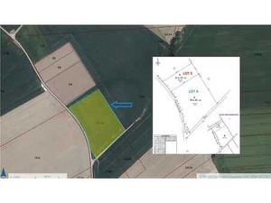 Terre agricole (sous bail à ferme)