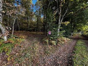 Parcelle forestière sur la Commune de Recht (Saint-Vith)