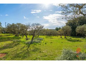 Vente terrain 4927 m² à Varages (83670)  250 000 €