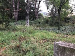 Vente terrain 1300 m² à Cournonsec (34660)  380 000 €