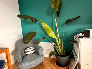 Location appartement 2 pièces 50 m² à Villejuif (94800)  1 250 €