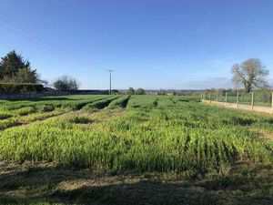 Vente Terrain à Peillac (56220) : à vendre / 1500m² Peillac