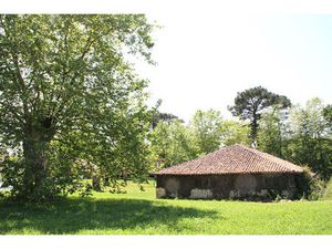 Rare  pour les amoureux de la Nature !