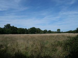 Terrain Cuffy + de 2 hectares  sous-bois  puits  10' NEVERS  campagne  clos