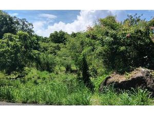 Terrain Pointe-Noire m² T- à vendre  300 000 €