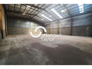 Locaux d'activité A LOUER