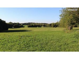 Recherche achat prairie