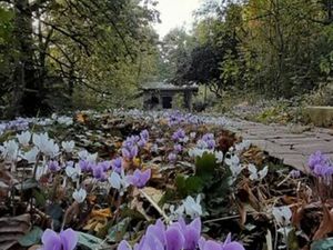 Terrain de loisir (constructible)