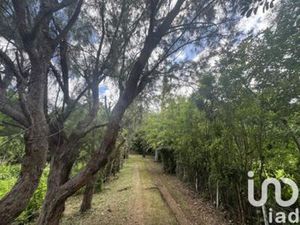 Vente Terrain à bâtir 3 000 m²  Réunion