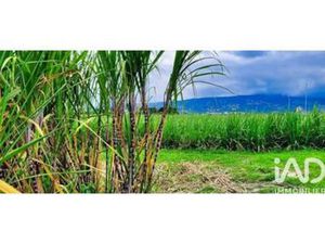 Vente Terrain agricole 11 990 m²  Réunion