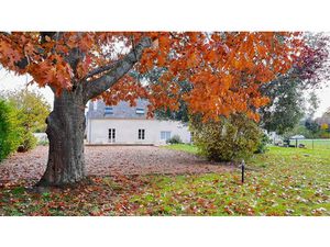 Vente propriété 4 pièces 260 m² à Diou (36260)  313 000 €