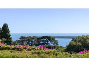 Achat : Appartement (06150)