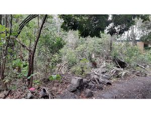 Vente maison 2800 m² à Saint-Louis (97450)  330 000 €