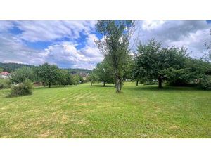 Vente terrain 1000 m² Dung (25550)