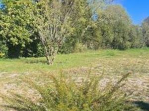 Terrain de 440 m2 en vente - Le Bouscat  France