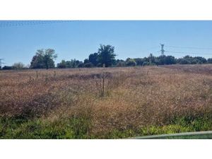 Vente terrain 1500 m² Saint-Savin (33920)