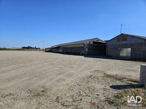 Vente Murs commerciaux 1 250 m²