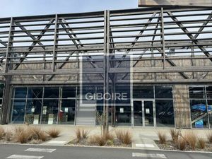 Location Local commercial 560m² PELLOUAILLES LES VIGNES 49112