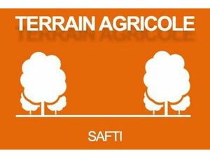 Vente terrain 8925 m² Saint-Plantaire (36190)