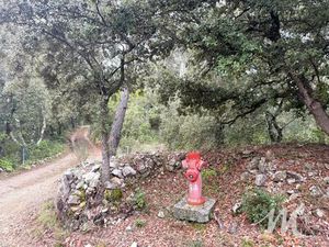 Terrain boisé BARJOLS 83670