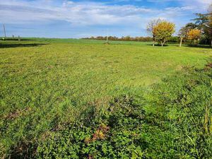 Vente Terrain aux Magnils-Reigniers (85400) : à vendre / Les Magnils-Reigniers