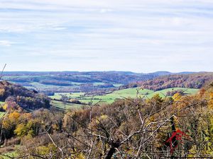 RARE Maison de Village avec Vue et Potentiel à Coiffy-le-