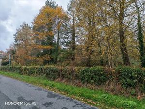 Vente terrain 1602 m² à Nançay (18330)  23 000 €