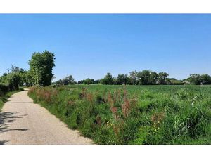 Vente terrain 438 m² à Angles (85750)  74 950 €