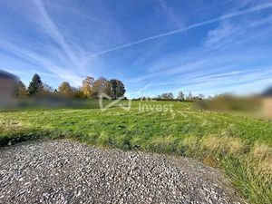 Vente terrain 1339 m² à Sassegnies (59145)  64 200 €