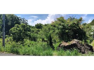 Vente terrain à batir 4268 m² à Pointe Noire (97116)  300 000 €