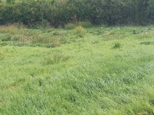 Vente terrain 651 m² à Pertuis (84120)  185 000 €