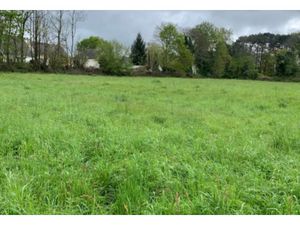 Vente Terrain à Landévant (56690) : à vendre / Landévant