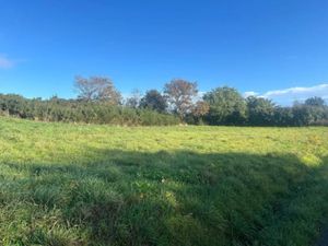 Vente terrain à batir 985 m² à Pleumeur-Bodou (22560)  214 350 €