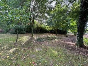 Vente terrain 800 m² à Audenge (33980)  265 000 €