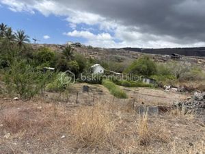 Vente terrain 4000 m² à La saline (97422)  1 809 000 €